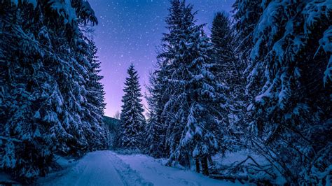 1920X1080 HD Night Winter Wallpapers - Top Free 1920X1080 HD Night Winter Backgrounds ...