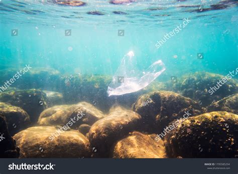 Underwater Plastic Bag Pollution Ocean Bad Stock Photo 1795585294 | Shutterstock