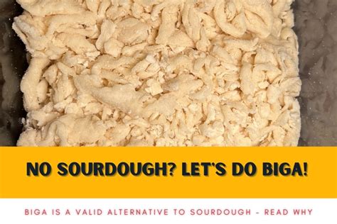 No Sourdough? Let's do Biga! - The Easy Alternative to Sourdough