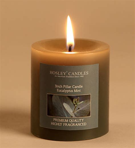 Buy Eucalyptus Mint Grey Pillar Candle at 53% OFF by Hosley | Pepperfry