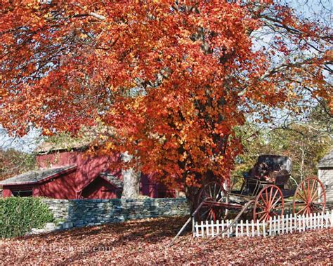 Fall Gallery Connecticut – New England fall foliage