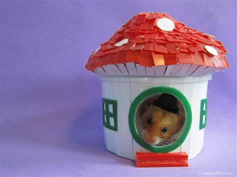 AnimalPetFans: DIY Hamster House