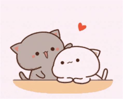 Squish Cat GIF - Squish Cat Cute - Discover & Share GIFs