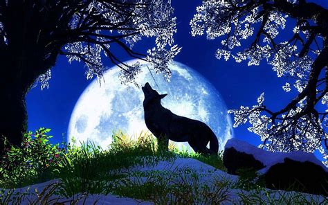 Wolf Howling At The Moon Wallpapers HD - www.Wolf-Wallpapers.pro