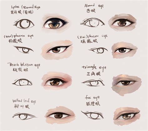 Different Eye Shapes Chart