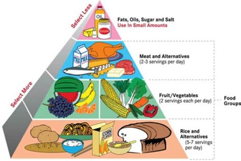 Nutritionist Recommended Balanced Diet Chart for Men and Women