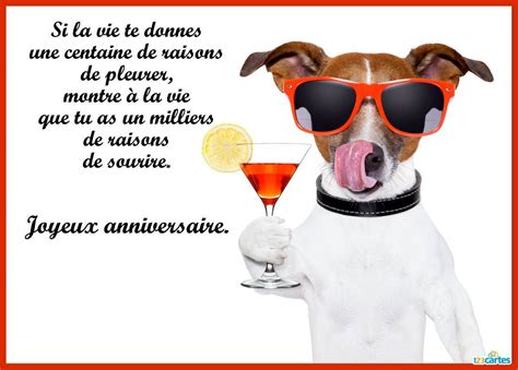 Carte D Anniversaire Humoristique Animée Gratuite Dromadaire