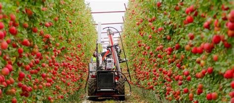 Abundant Robotics shuts down fruit harvesting business