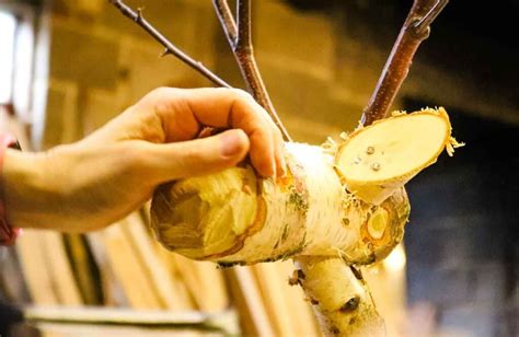 Log Reindeer DIY {Easy Christmas Project} - The Carpenter's Daughter