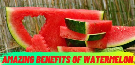 11 Surprising Watermelon Benefits! - Crazy Bite News