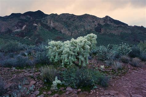 Hiking the Boulder Canyon Trail in Arizona