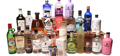 Extreme Gin Lovers Hamper