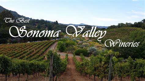 Sonoma Valley Wineries - Three Olives Branch