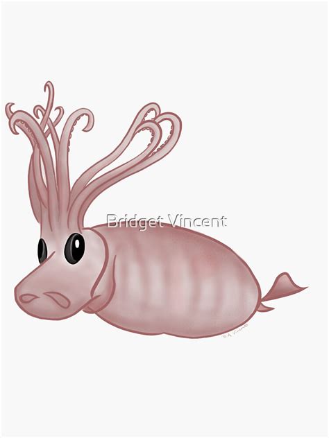 "Banded Piglet Squid" Sticker by Acipenserarts | Redbubble