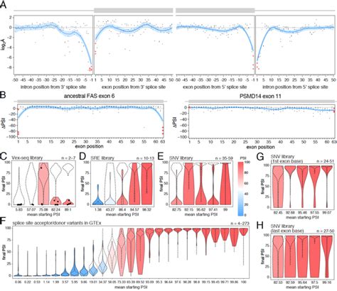 The effects of splice site mutations. | Download Scientific Diagram