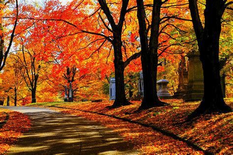 Where to See the Best Fall Leaves in the U.S.