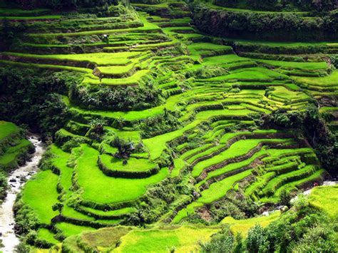 Banaue Rice Terraces Wallpapers - Top Free Banaue Rice Terraces ...