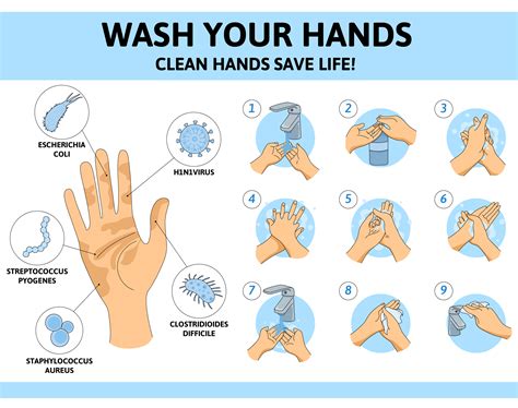 Hand Washing Poster Handwashing Poster Handwashing Steps Shorts – NBKomputer