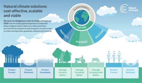 What are Natural Climate Solutions? - Climate Advisers