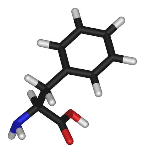 Phenylalanine - wikidoc