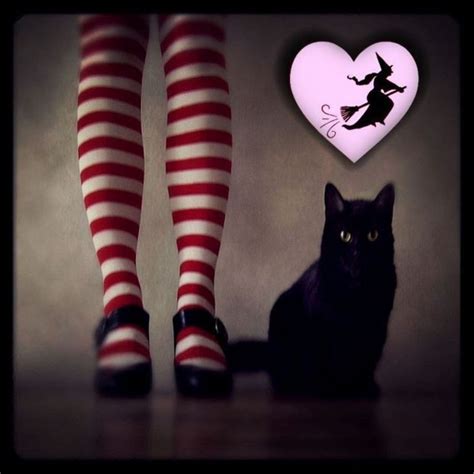 Pin on WICKED FUN | Cats, Black cat, Fun