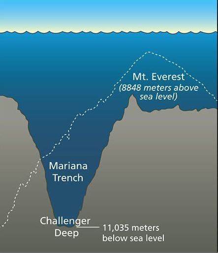 Graph showing the depth of the Mariana Trench, compared to Mt Everest ...