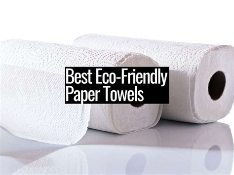 Best Eco-Friendly Paper Towels - The Sustainable Living Guide