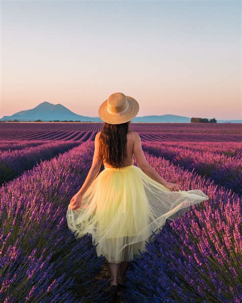 LAVENDER WEEKEND IN PROVENCE, FRANCE - Nathalie Wanders