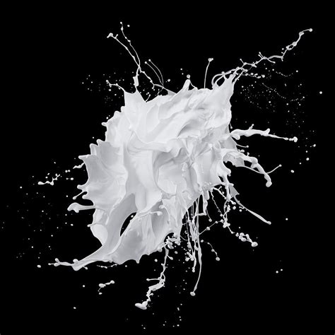 White Paint Splash On Black Background by Biwa Studio