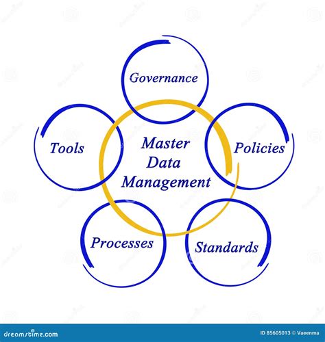 Master Data Management Data Governance Data Quality