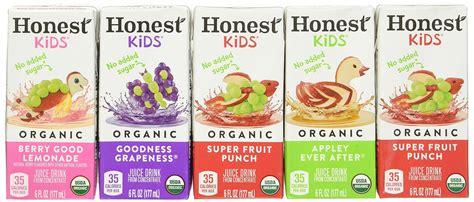 Amazon.com : Honest Kids Honest Kids Organic Juice Boxes, 6 Fl Oz, Pack of 40 : Grocery ...