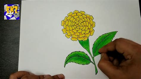 marigold drawing step by step - sophielickiss