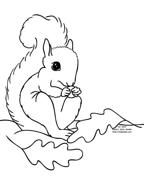 Squirrel Coloring Pages For Preschool at GetColorings.com | Free printable colorings pages to ...