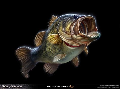 Fish Art :: Behance