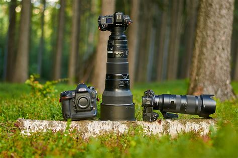 The Best Nikon Cameras for Wildlife Photography (2024)