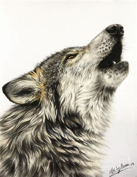 Howling Wolf Drawing - Howling Wolf by Art By Three Sarah Rebekah Rachel White | Wolf howling ...