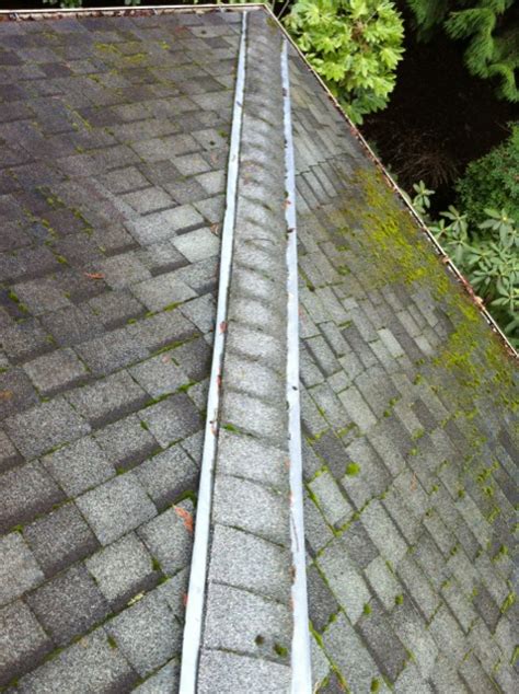 Zinc Strip effectiveness – Portland Roof Cleaning