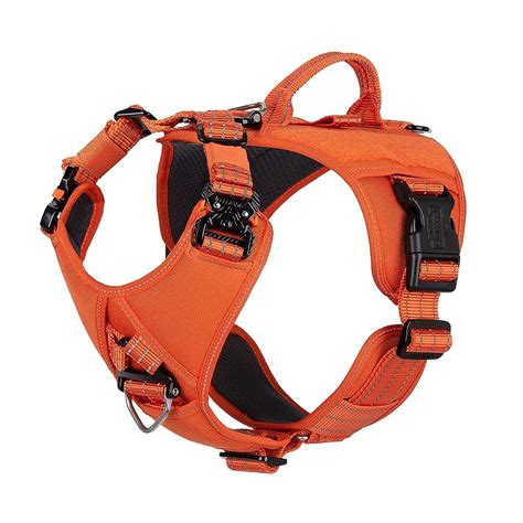 11 Best Dog Harnesses with Handles