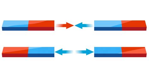 Magnetic Poles | Facts About Magnets | DK Find Out