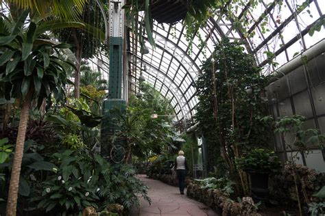 Lincoln Park Conservatory, Chicago — HOMESTEAD BROOKLYN