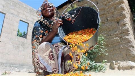 Cameroon - World Food Program USA