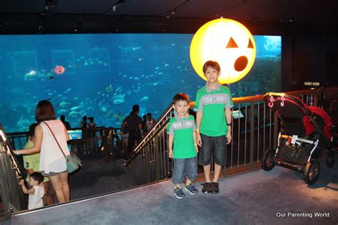 Halloween Celebration at S.E.A. Aquarium Wonders: Spooky Seas