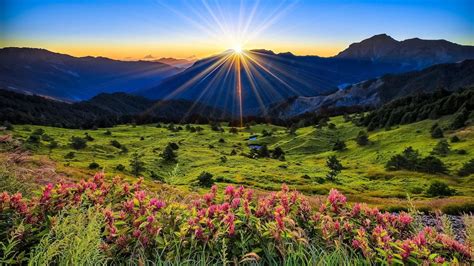 Spring Sunrise Wallpaper - KoLPaPer - Awesome Free HD Wallpapers