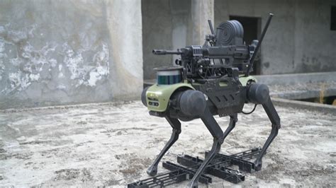 Airborne attack dogs: Chinese military contractor unveils flying robot animal armed with machine ...