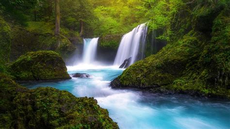 Download Green Tree Forest Nature Waterfall HD Wallpaper