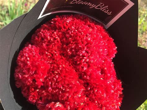 Red Cockscomb Flower Bouquet - BloomyBliss Online