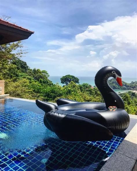 Make a splash with this giant black swan pool float – OddGifts.com