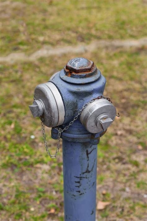 Old Rusty Hydrant Stands on a Background of Grass Fire Prevention Stock Image - Image of ...