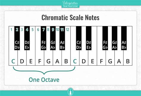 How to Play Chromatic Scales on a Violin - Violinspiration