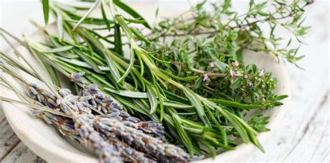 7 Herbs and Spices To Boost Immunity, Beat Inflammation, and Live Longer